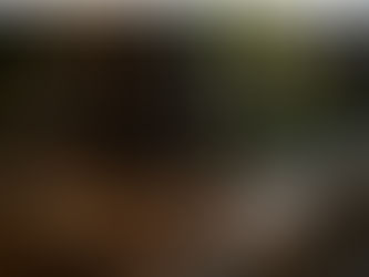 高崎の夏、涼しく楽しく過ごす方法