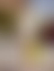 BOLSOS FURLA: Estos bolsos nacen a partir de la tradición y la experimentación a través del uso de m