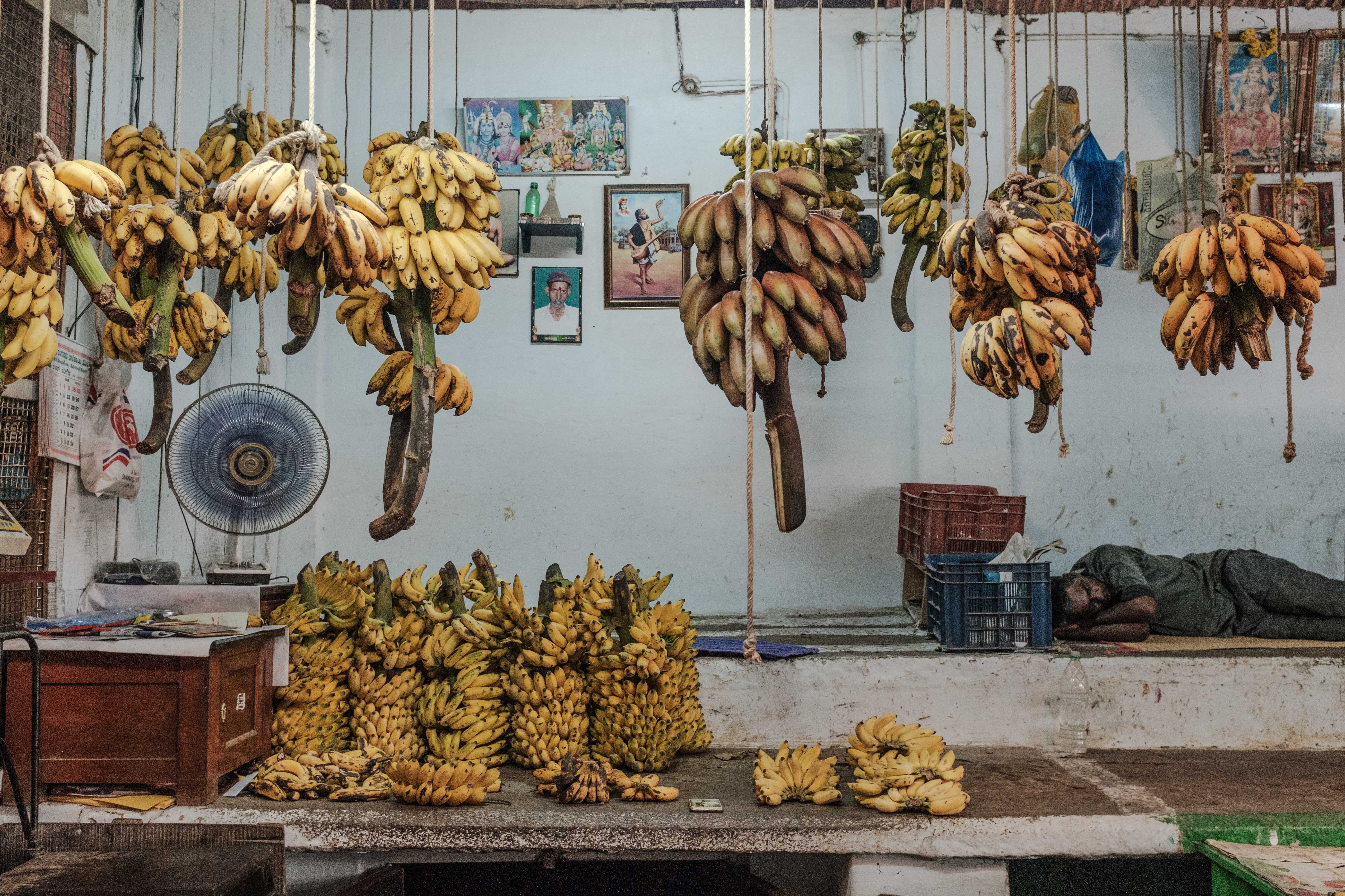 Banana shop