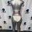 Thumbnail: Classic Swimsuits