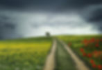 path-832031_1280.jpg