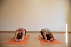 107spp_jardinotium_1Y2A7601