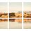 Thumbnail: 3 x 10 x 20cm acrylique or aluminium boxed triptych prints