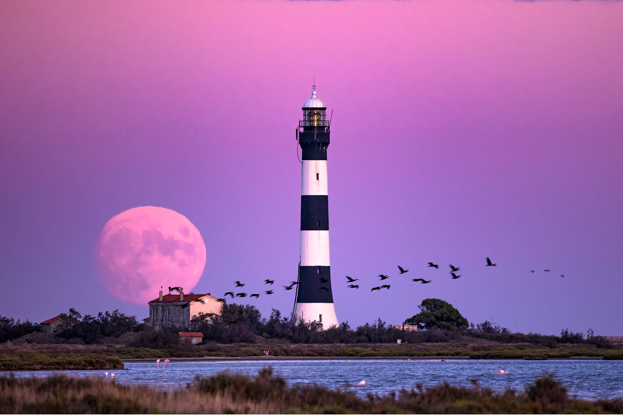 74. Lauréat Concours Photo 2023