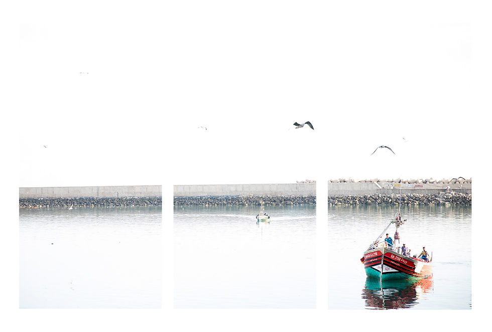 Thumbnail: 3 x 10 x 20cm acrylique or aluminium boxed triptych prints