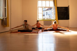 195spp_jardinotium_1Y2A7944