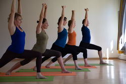 027spp_jardinotium_1Y2A7345