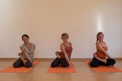 181spp_jardinotium_1Y2A7902