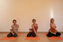 182spp_jardinotium_1Y2A7907