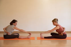 135spp_jardinotium_1Y2A7685