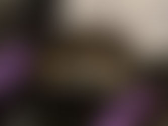 More KOKO cuteness !