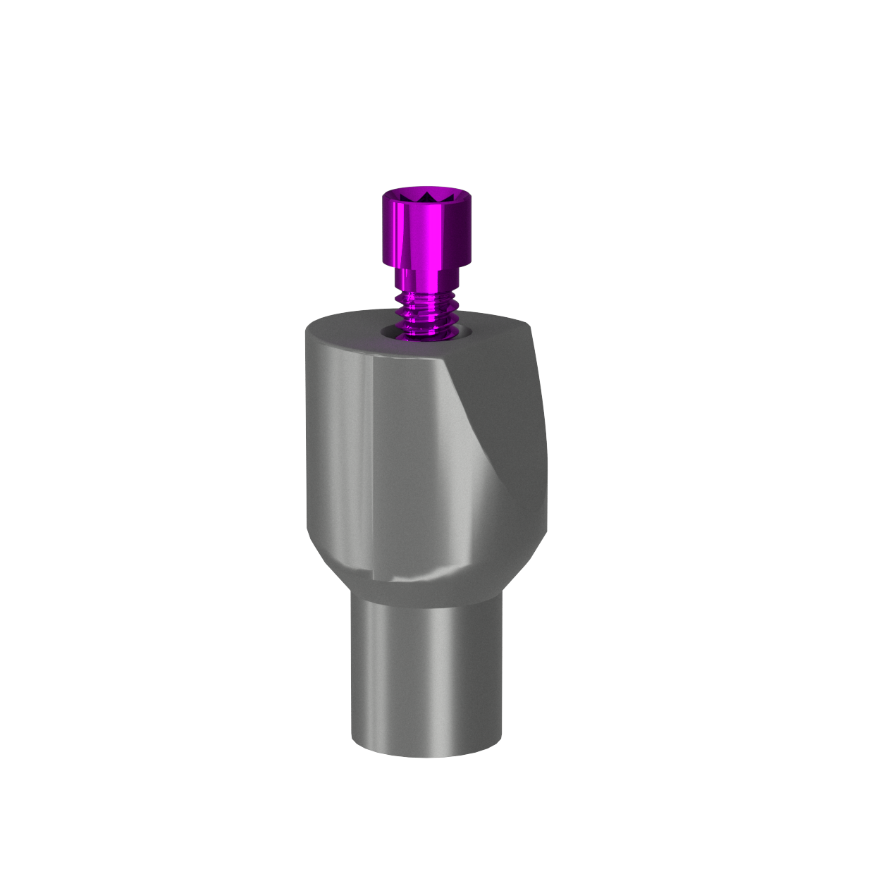Equator Scan Abutment