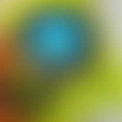 Ritmos do Brasil - Choro e Música Caipira