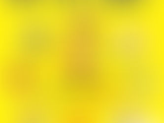  キッチンカーカレンダー🚚