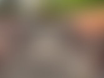 Little Flock Church Construction