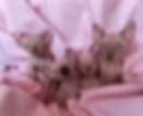 PhotoRoom_20230413_151539.jpg