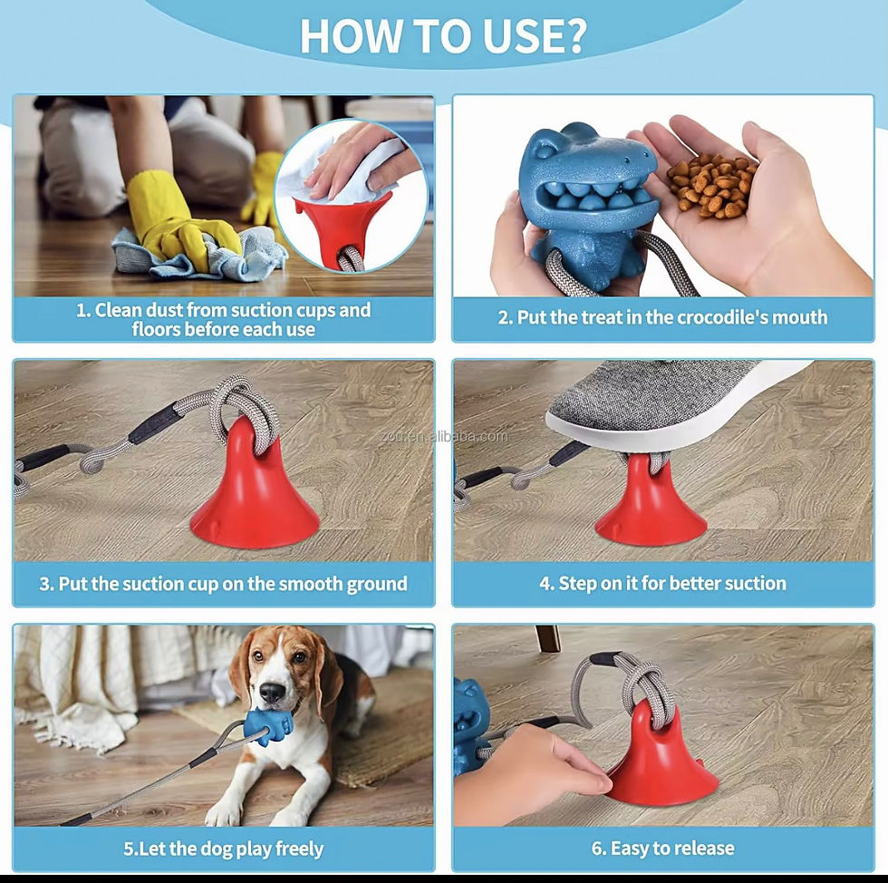 Thumbnail: Dino Tug Treat