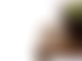 Nov 12-13, 2022 An Exhibition of Extraordinary Bonsai: Pacific Bonsai Expo, Oakland CA.