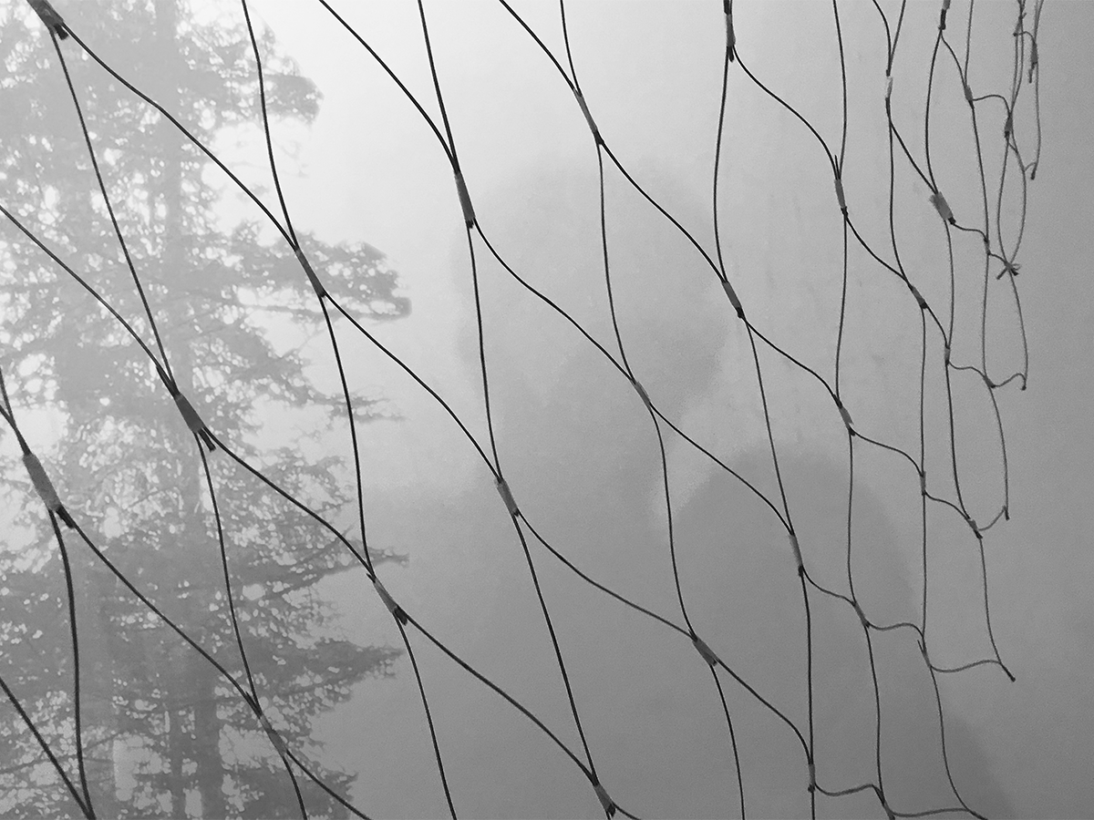 ION_architecture_studio_Ecran_des_pins.gif