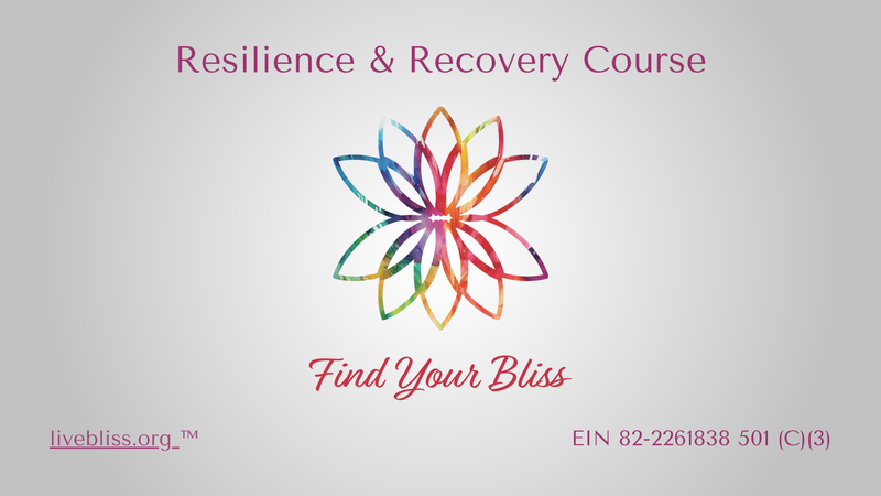 4-hour CEU-approved resilience training for police, fire, EMS, and corrections. Supports stress reco