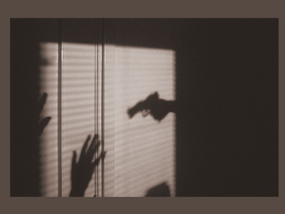 The Problem of the Individual Shooter
