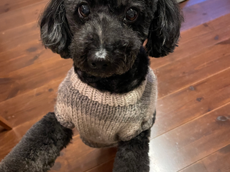 2022年頑張りました^^