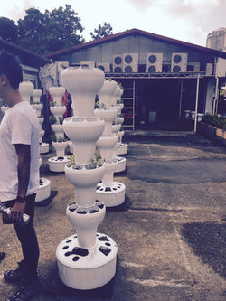 Urban farm in Singapore, Singapore