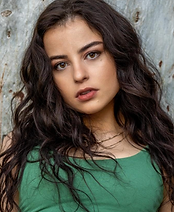 Screenshot 2025-02-13 at 8.25.18 PM.png