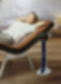 BioMat with BioAcoustic mat.jpg