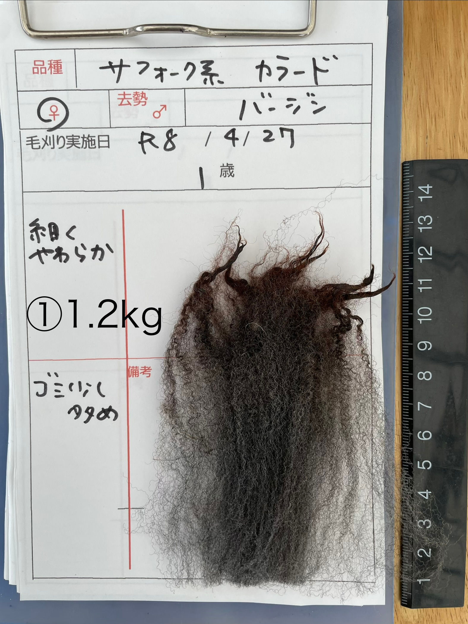 №５１サフォーク系カラード　バージン①1.2㎏