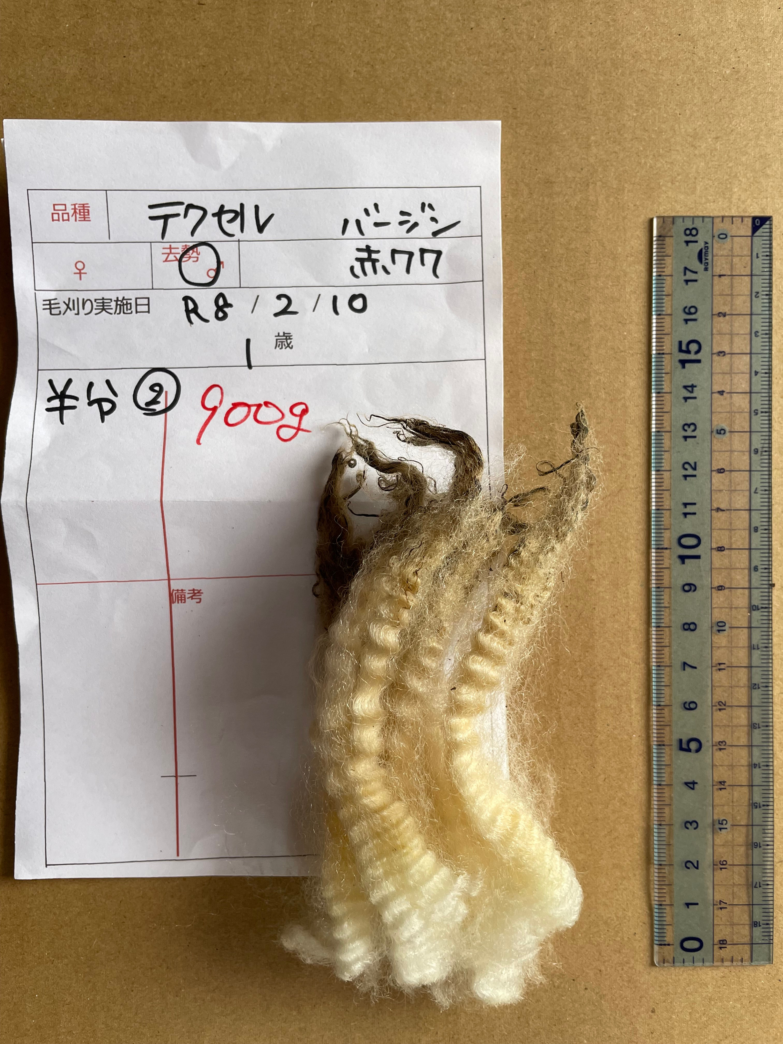 №１７テクセル　②0.9㎏　バージン(赤77)