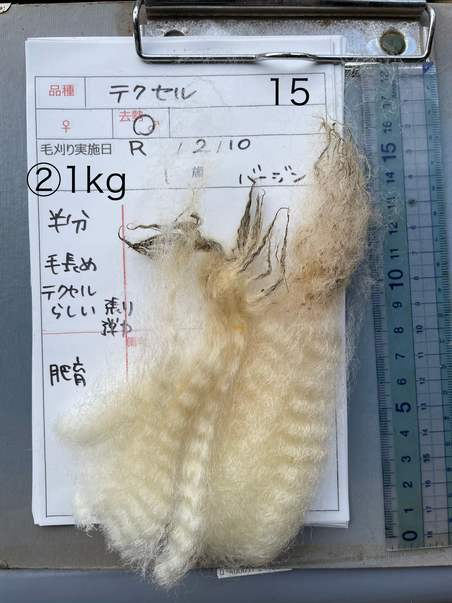 №１５テクセル　②１㎏　バージン