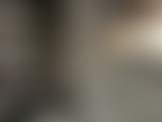 タイヤハウスに蜂