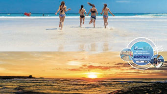 🏖️下田のイベントガイド~7月編~🌺