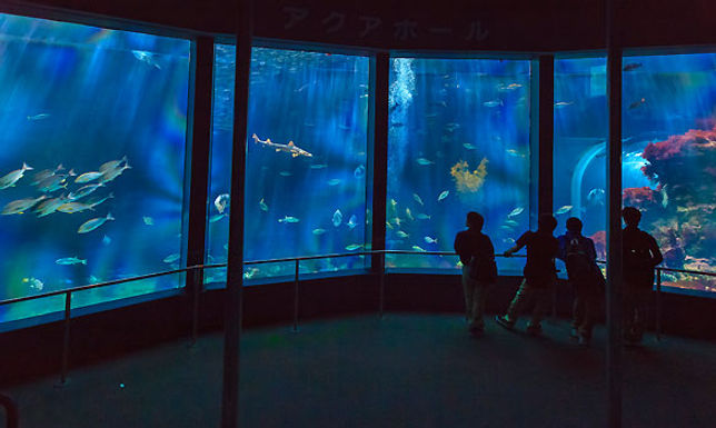下田海中水族館