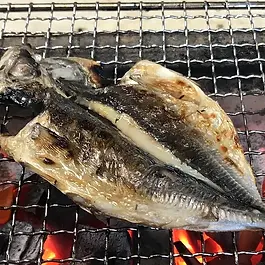 下田市須崎1555-4