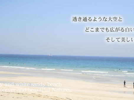 しずおか元気旅の変更箇所につきまして