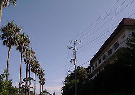 吉佐美大浜駐車場目の前。海水浴はもちろんのこと、年間を通じてサーフィンなどのマリンスポーツを楽しめます。カップルに人気の洋室から、家族・グループに人気の和室まで人数に合わせてご案内します。全室海側テラス付。チェックイン前、チェックアウト後(午後3時)迄のシャワー室のご案内も・・・