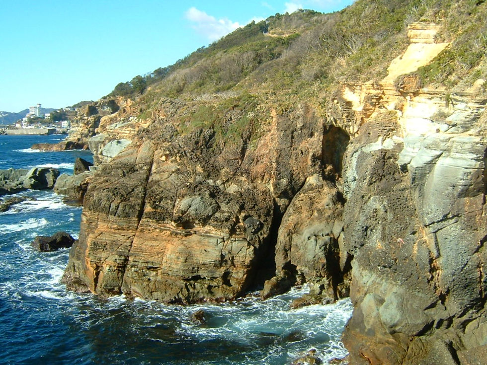 須崎遊歩道が一時開通🌿!