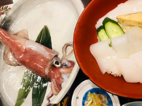 赤いかキャンペーン始動!!