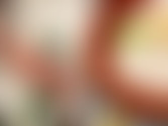 赤いかキャンペーン始動!!