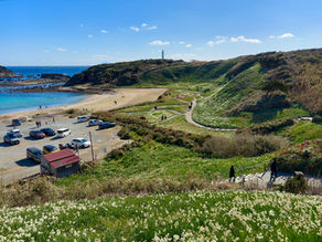 花の季節はまだこれから…🌼🌸
