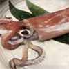 akaika_0013_レイヤー 13.jpg