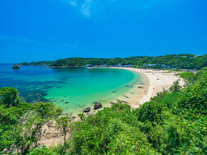 下田市の海水浴場は8/24まで🏖️!