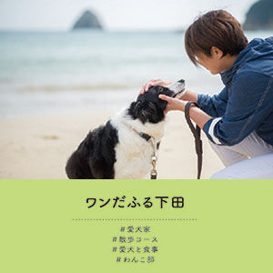 ワンだふる下田