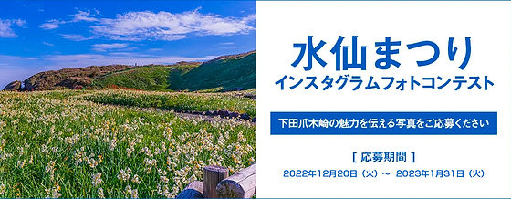 水仙まつりインスタグラムフォトコンテスト 伊豆下田観光ガイド 水仙まつりインスタグラムフォトコンテスト 伊豆下田観光ガイド