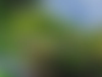 ハッシュタグキャンペーン開催します!