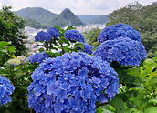 特別賞_東海バス_yr.izu.jpg