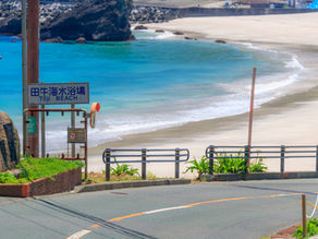 今年の夏は下田の海へ🏖️🌺
