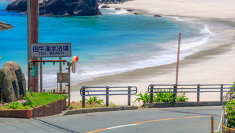 今年の夏は下田の海へ🏖️🌺